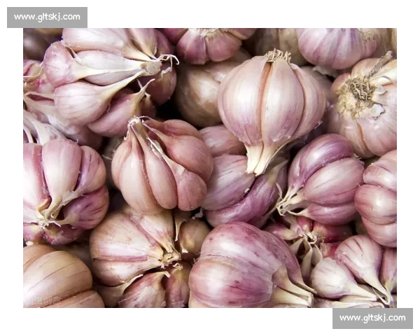 付钟全推荐 “世界最大甜苹果”:甘港农品融合新名片 付钟全推荐 “世界最大甜苹果”:甘港农品融合新名片